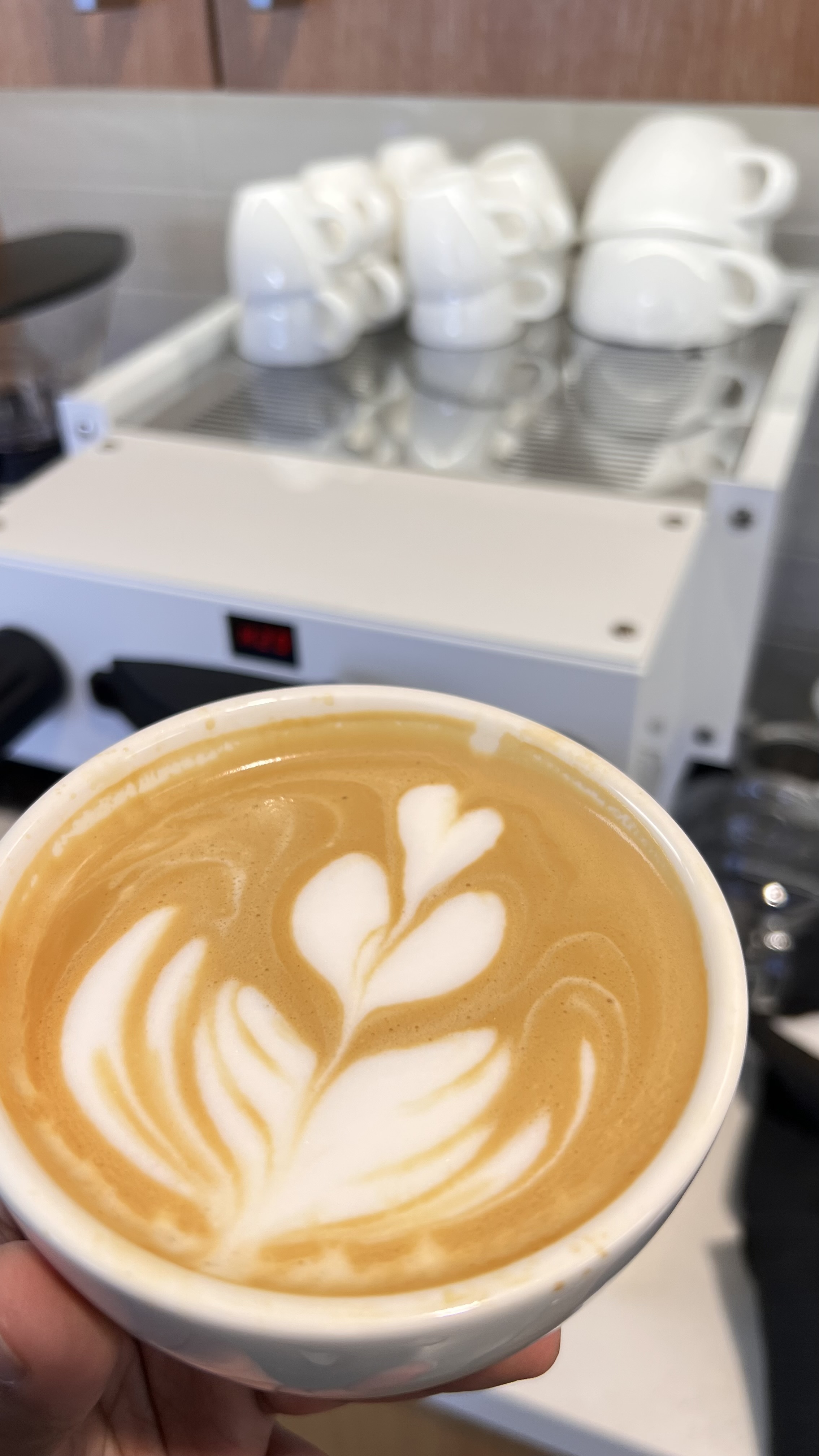 Latte Art 4