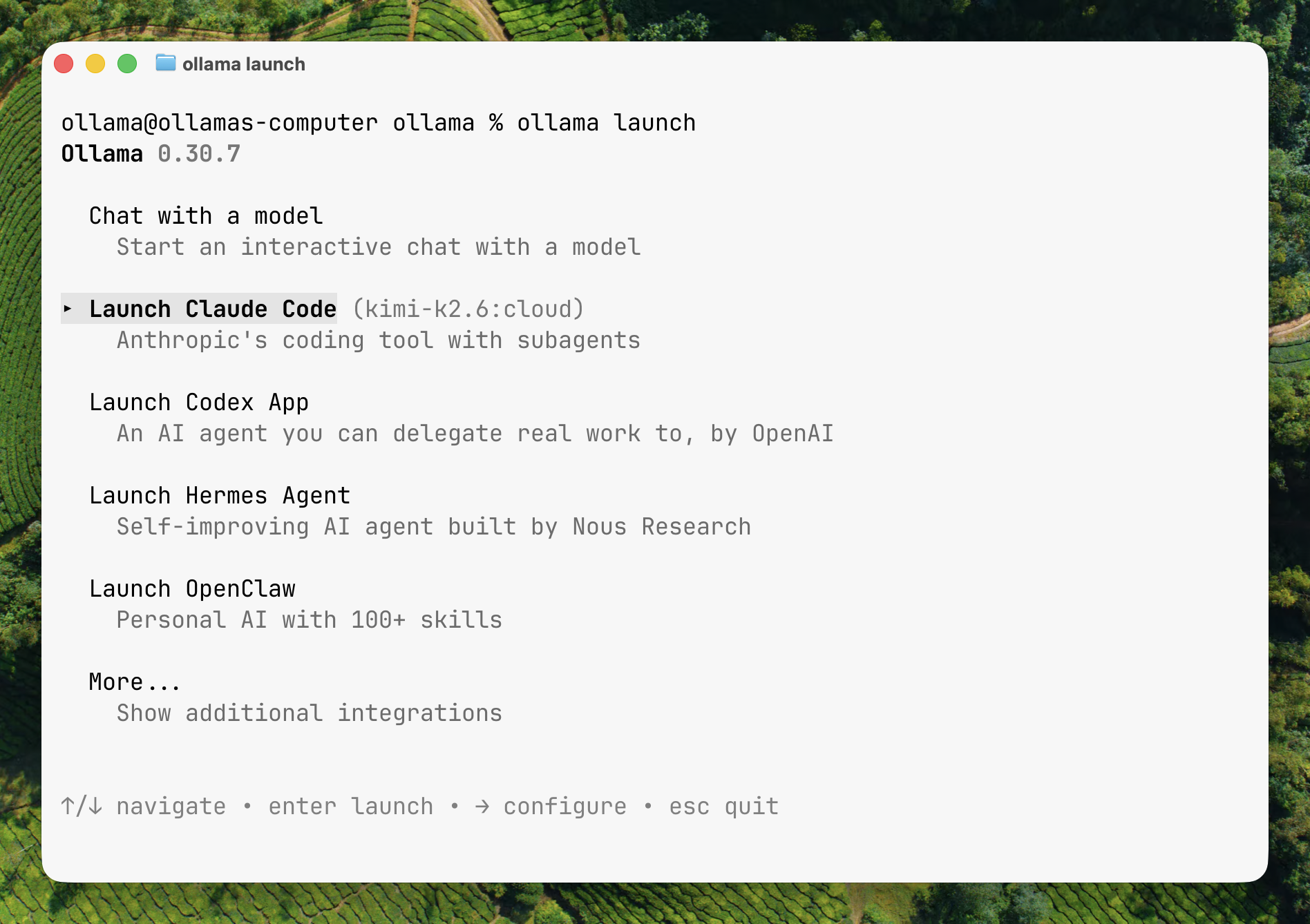 The Ollama Launch picker showing available integrations