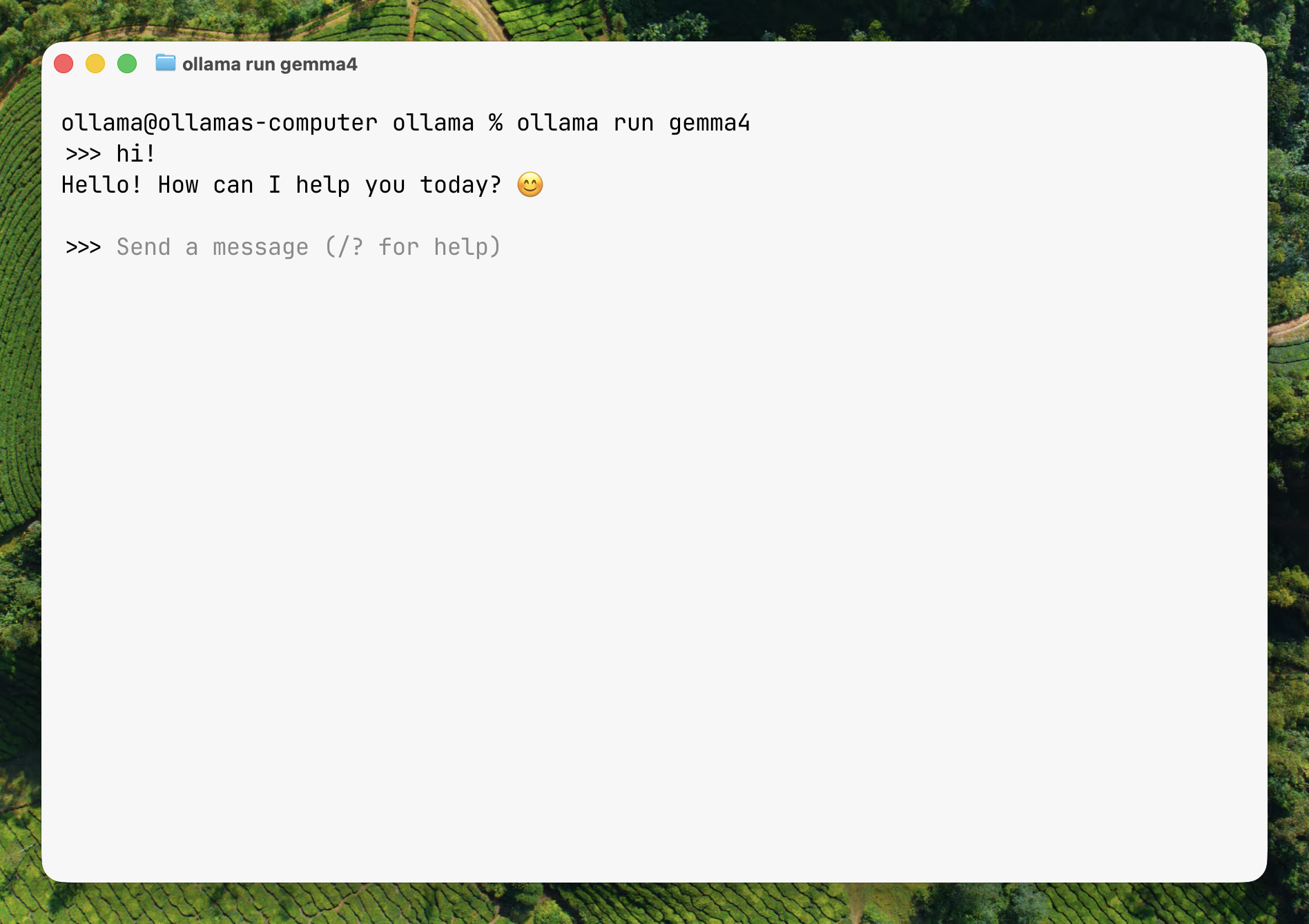 A terminal running gemma4 with Ollama